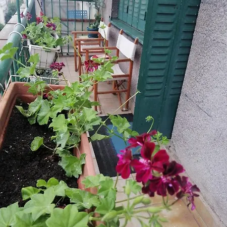 Centar Apartment Belgrad